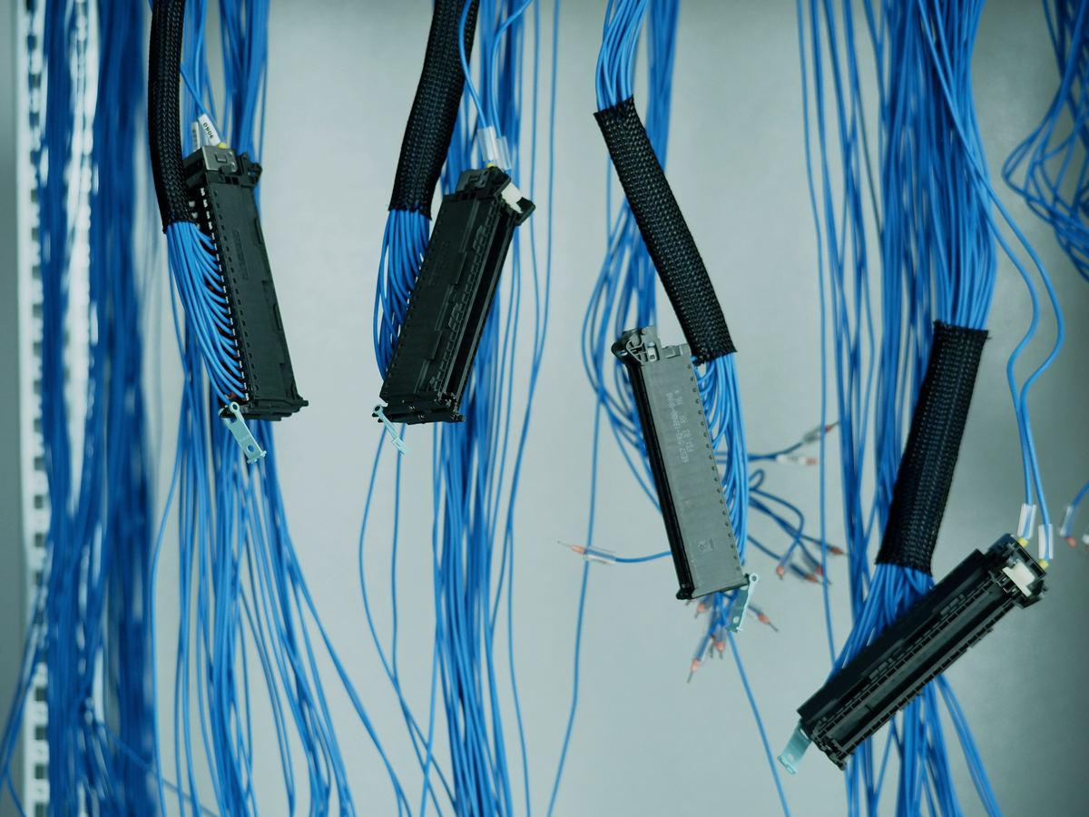Blaue Netzwerkkabel mit Steckverbindern hängen geordnet in einem Rack